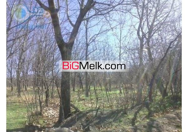باغ خوانسار10 هزار متردر منطقه جنگاه