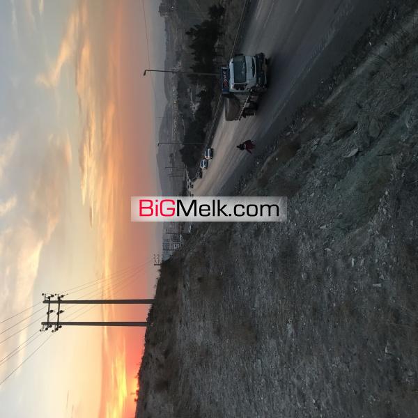 زمین رودهن اسکندری