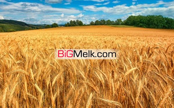 فروش زمین صنعتی در قم