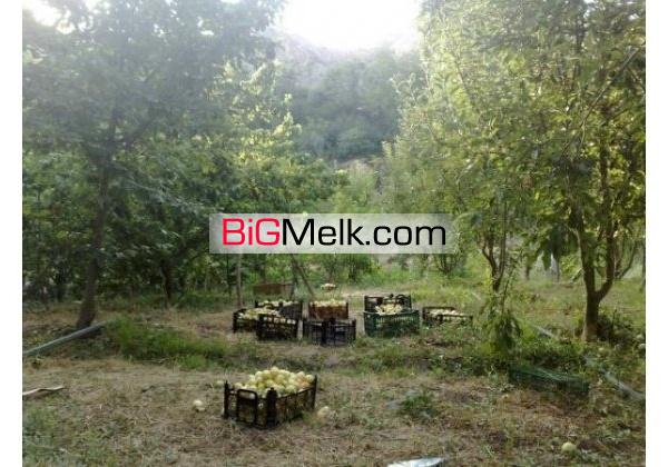 زمین و باغ / باغ در گیلاوند 3000 متر | تهران، دماوند