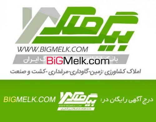 فروش زمین کشاورزی هکتاری مرغوب سرتاسر ایران Bigmelk.com