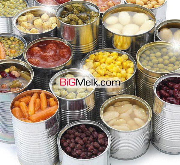 فروش کارخانه کنسرو سازی