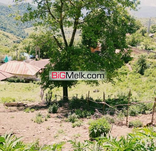 یک قطعه زمین ییلاقی
