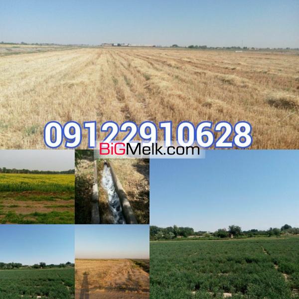 فروش 8 هکتارزمین کشاورزی ورامین