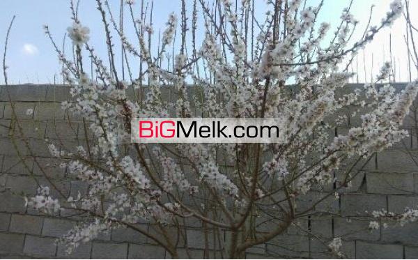 استثنایی رهن باغ در قهدریجان 750 متر