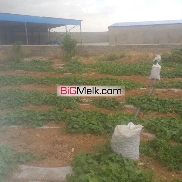 فروش گاوداری در همدان کبودر اهنگ