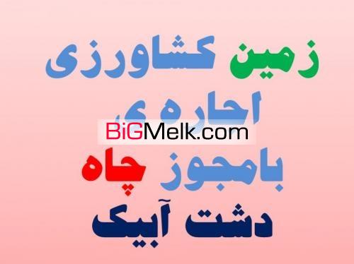 زمین کشاورزی جهت اجاره با چاه اختصاصی