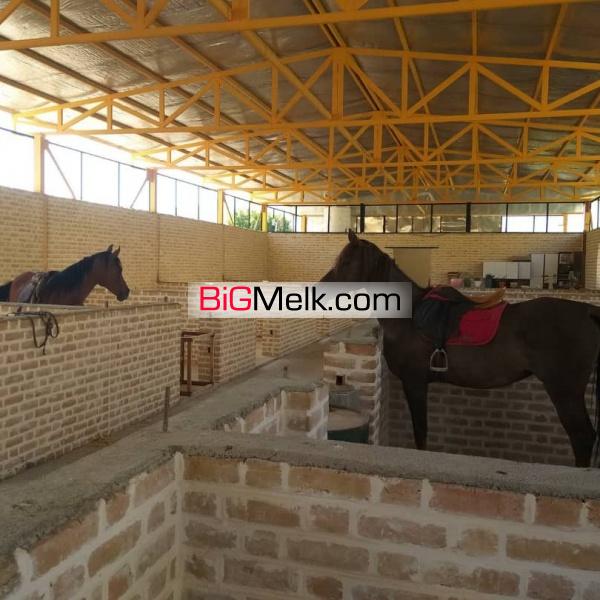 فروش پرورش اسب 20 راسی