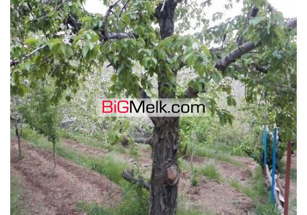 زمین واقع در میگون تهران 370 متری
