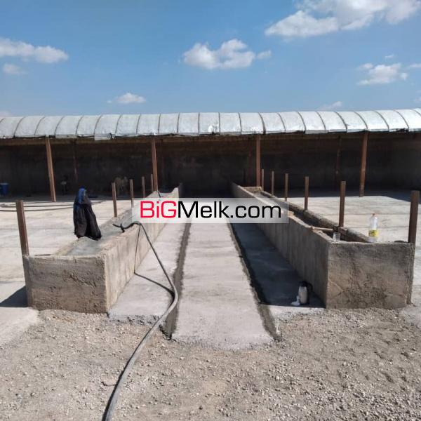 دامداری 2300 متری ورامین جواد آباد