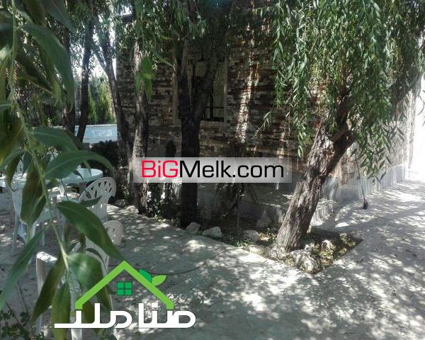فروش باغ و زمین و گلخانه در محمدشهر کد1162