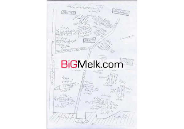 مزایده فروش زمین کشاورزی در کرمانشاه