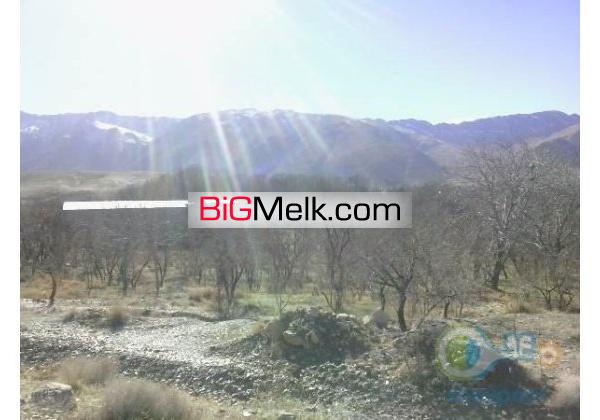 باغ خوانسار10 هزار متردر منطقه جنگاه