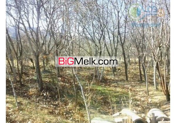 باغ خوانسار10 هزار متردر منطقه جنگاه