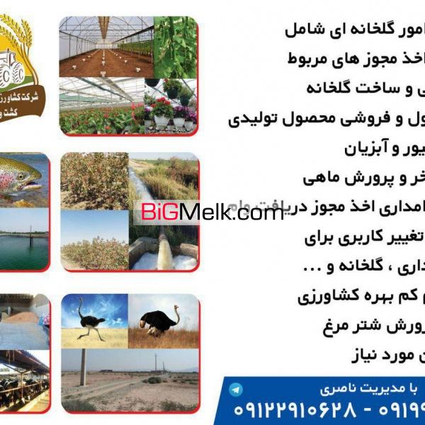 فروش گلخانه خیار و دامداری
