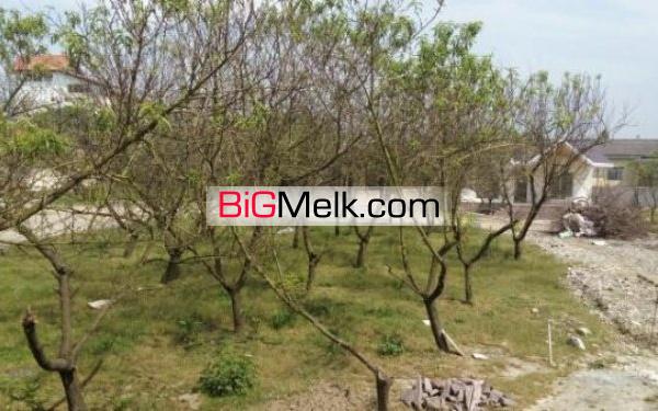 110 متر ویلا اقساطی مازندران، نور