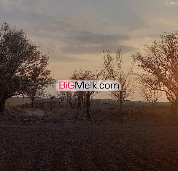 فروش زمین کشاورزی با یک حلقه چاه مجاز