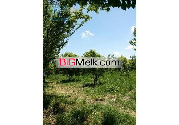 فروش باغ میوه چاه کشاورزی گاوداری صنعتی