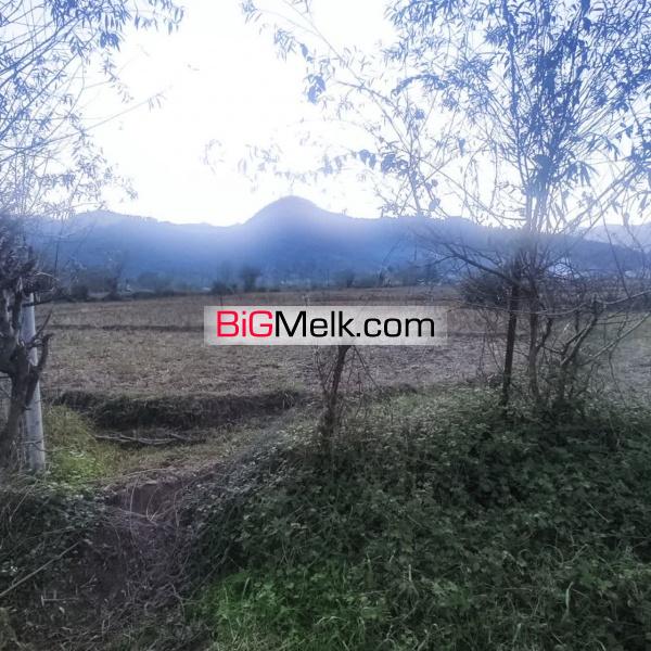۷۰۰ متر زمین در شاندرمن زیبا (کارگزاری نسل نو)