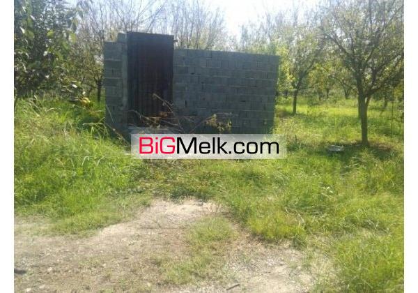 باغ مرکبات بهرجاده 4000 مترنزدیک شهرک | مازندران، آمل