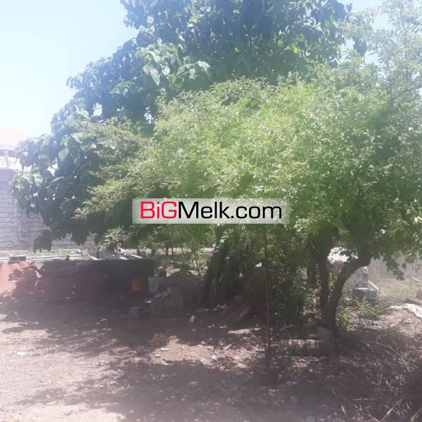 فروش 500 متر زمین مسکونی خیابان هلال احمر