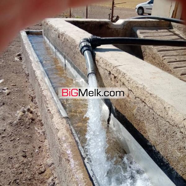 فروش زمین کشاورزی ابهر زنجان 36 هکتار
