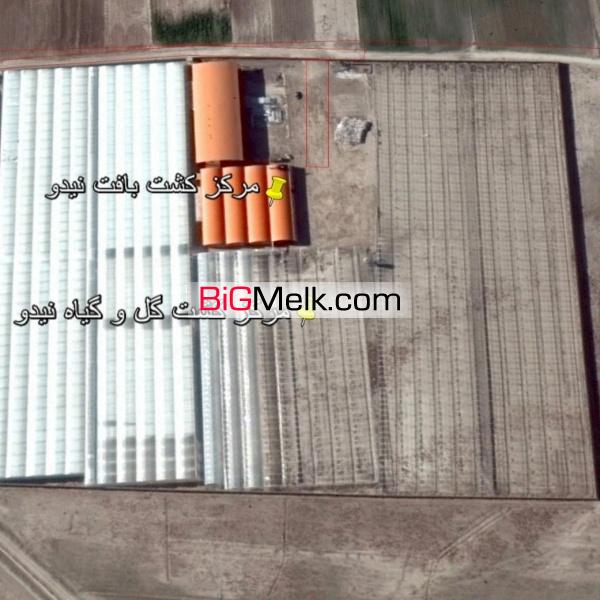 فروش مجتمع گلخانه ای 5 هکتاری تولید گل انحصاری