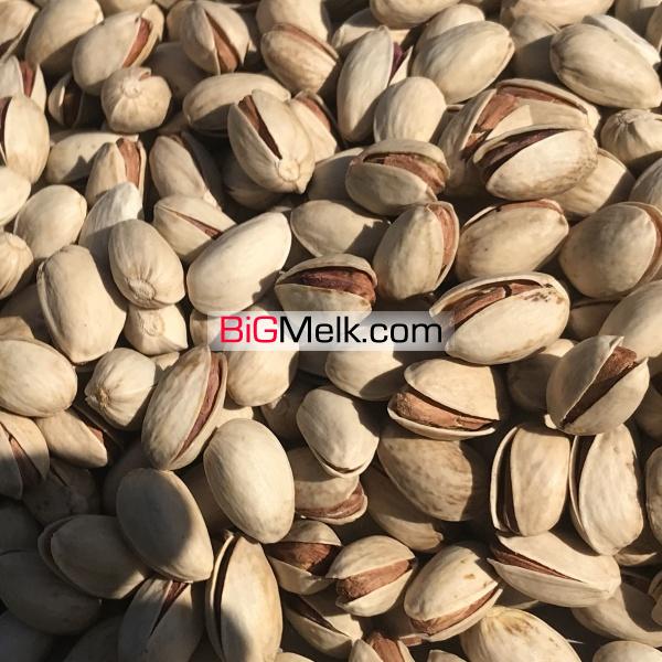 فروش باغ پسته و انواع میوه جات و کارخانه فرآوری خشکبار