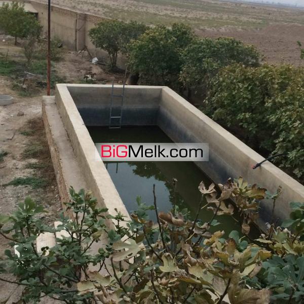 فروش گلخانه خیار درختی ورامین