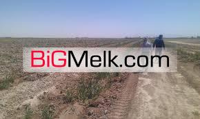 ۱۷۰ هکتار زمین کشاورزی با ۸ هکتار پسته مثمر درسبزوار