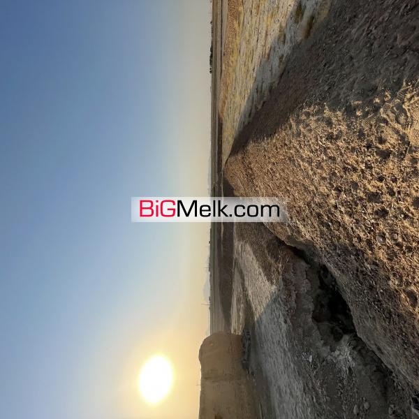 زمین کشاورزی 20 هکتاری