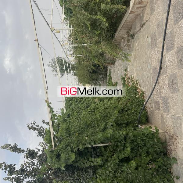 باغ میوه ۴۰۰۰ متری