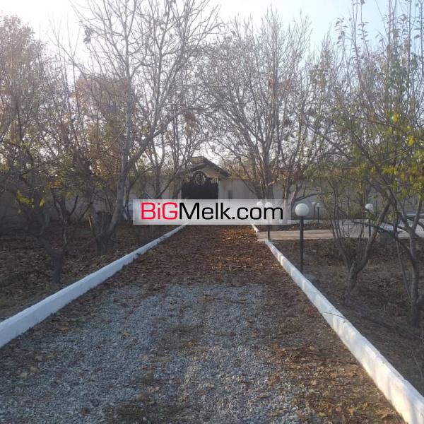 ۵۶ هکتار زمین کشاورزی در موقعیت عالی بعد از صفادشت