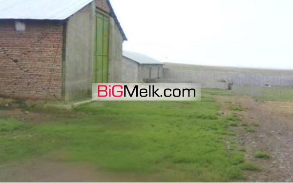 اجاره دامداری صنعتی1500متری