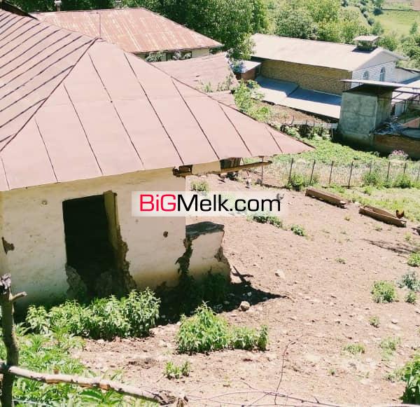 یک قطعه زمین ییلاقی