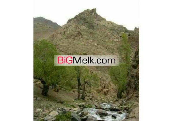 باغ فشم امامه 1000متری