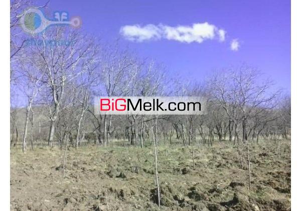 باغ خوانسار10 هزار متردر منطقه جنگاه
