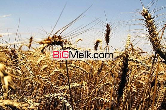 فروش زمین کشاورزی مشهد 3200 هکتار