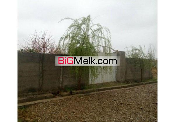 فروش باغ میوه در البرز تهران دشت سند دار