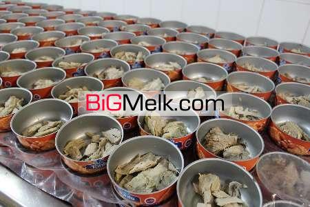 فروش کارخانه مواد غذایی تن ماهی گوشت و مرغ