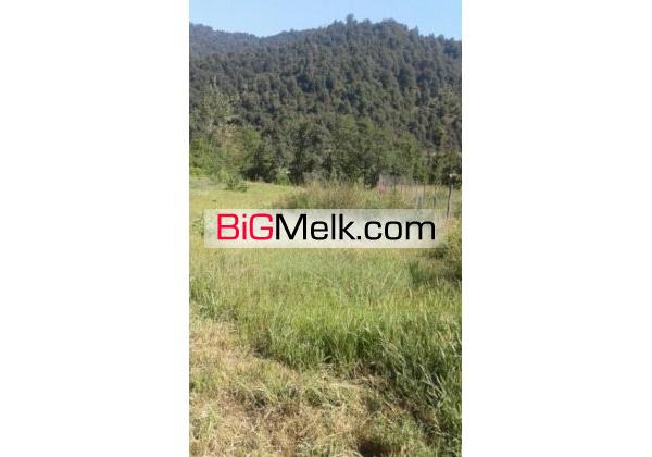 زمین درتابش روستای ریک 3000 متر | تالش، روستای ریک