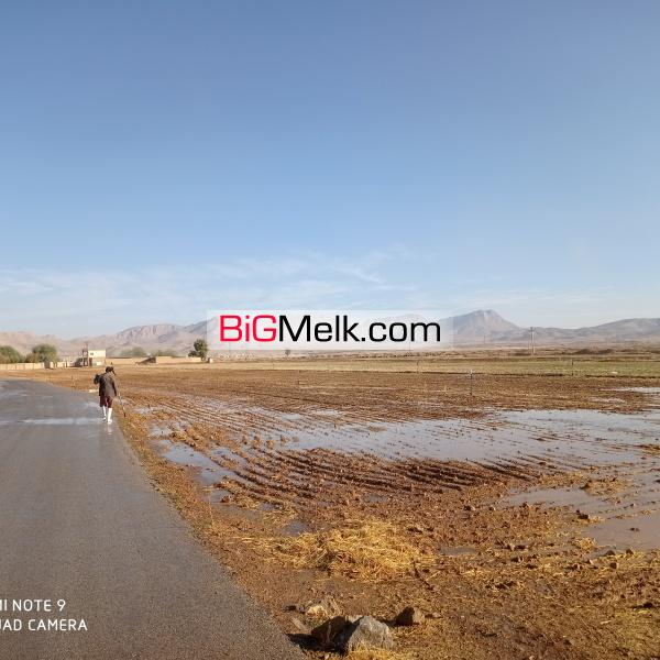 فروش یک قطعه زمین کشاورزی