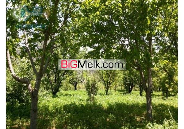 فروش باغ میوه چاه کشاورزی گاوداری صنعتی