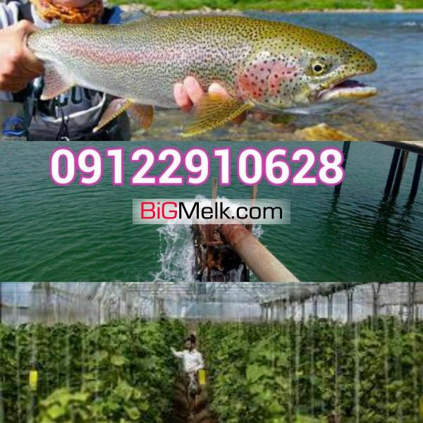 گلخانه فروشی و وام کم بهره
