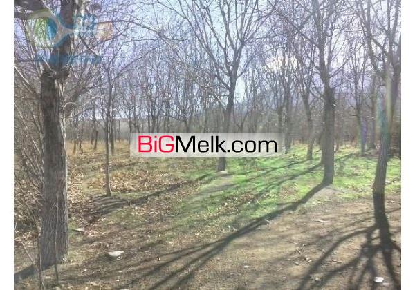 باغ خوانسار10 هزار متردر منطقه جنگاه