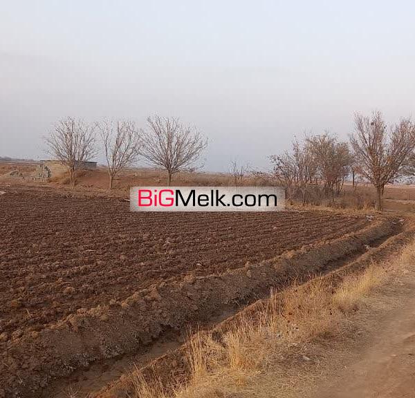 فروش زمین کشاورزی با یک حلقه چاه مجاز
