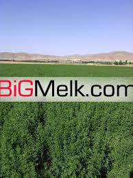 فروش زمین کشاورزی