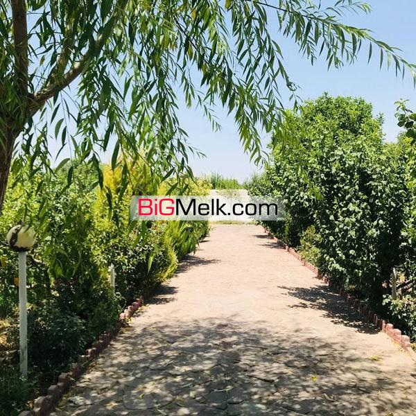 باغ ویلای 4570 متری سرسبز در شهریار