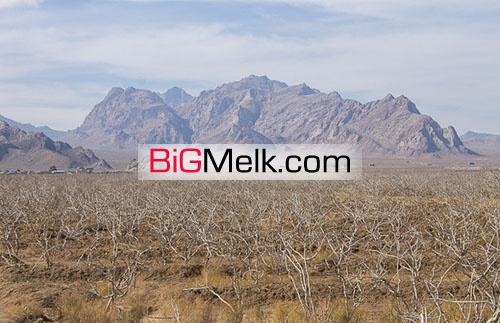 ۱۷۰ هکتار زمین کشاورزی با ۸ هکتار پسته مثمر درسبزوار