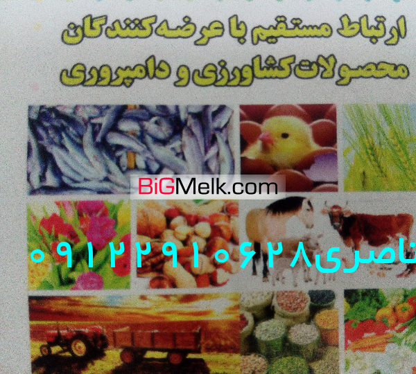 فروش زمین کشاورزی با وام مصوب